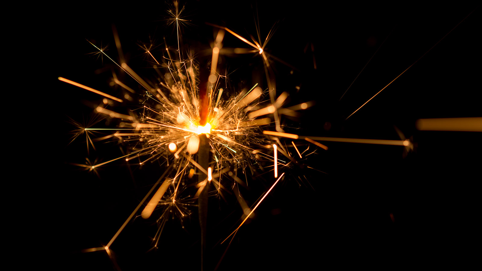 Blog: Sparking Resilience: How sparQ Delivers Generative AI at meQ